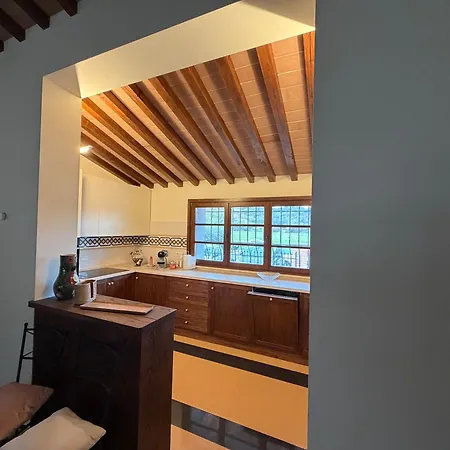 Via Antonia 60 Ponte Pattoli